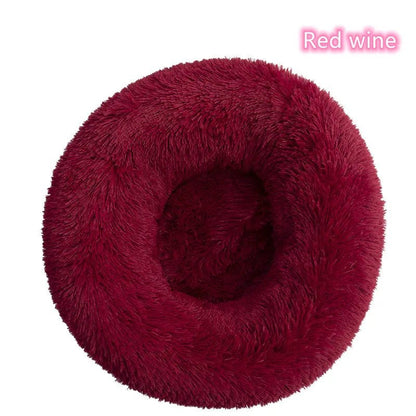 Chat confortablement lové dans son coussin donut