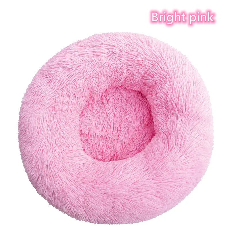 Chaton confortablement installé dans le coussin
