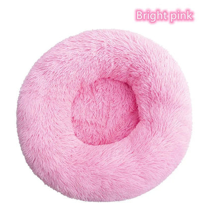 Chaton confortablement installé dans le coussin