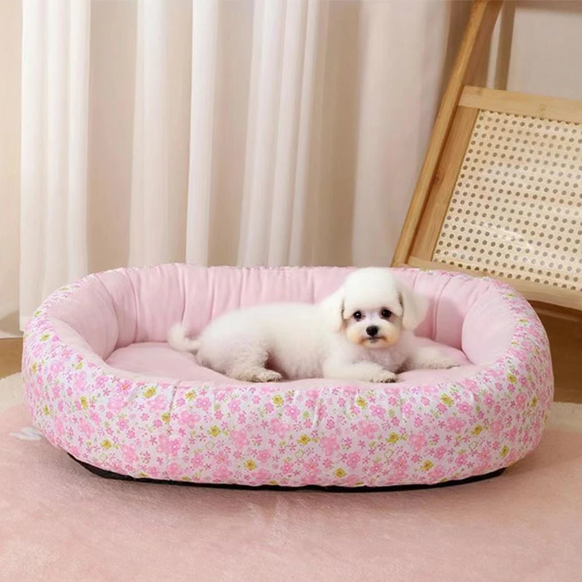 coussin pour chat | Douillet - Le Bonheur du Chat