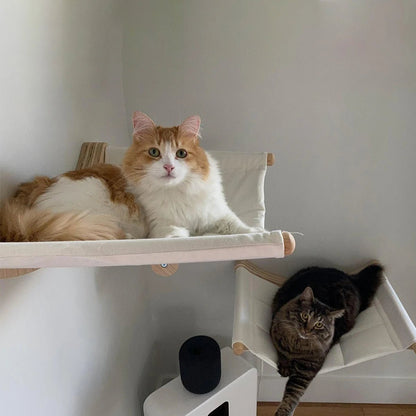 deux chats hamac mural bois salon