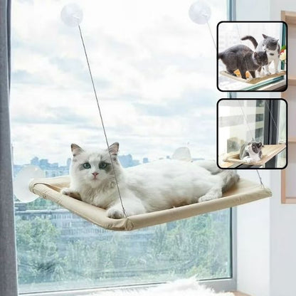 hamac chat fenêtre | Sécurisé 20kg - Le Bonheur du Chat