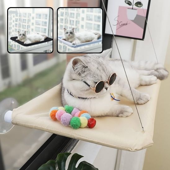 hamac chat fenêtre | Sécurisé 20kg - Le Bonheur du Chat