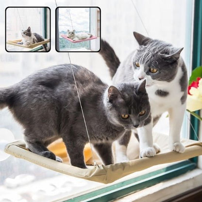hamac chat fenêtre | Sécurisé 20kg - Le Bonheur du Chat