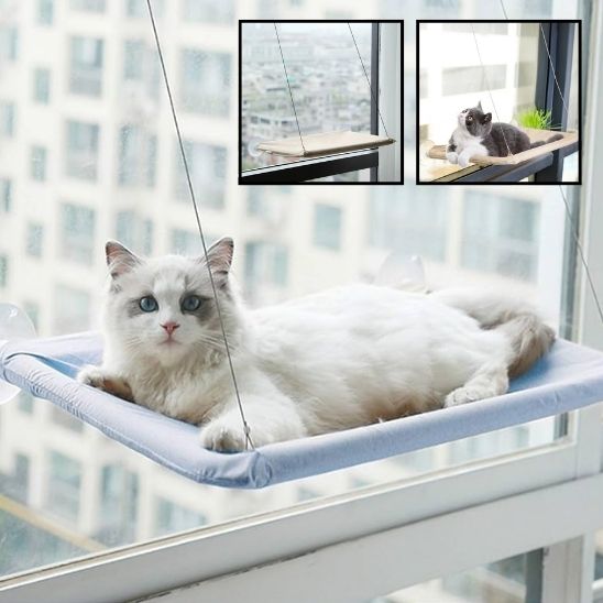 hamac chat fenêtre | Sécurisé 20kg - Le Bonheur du Chat