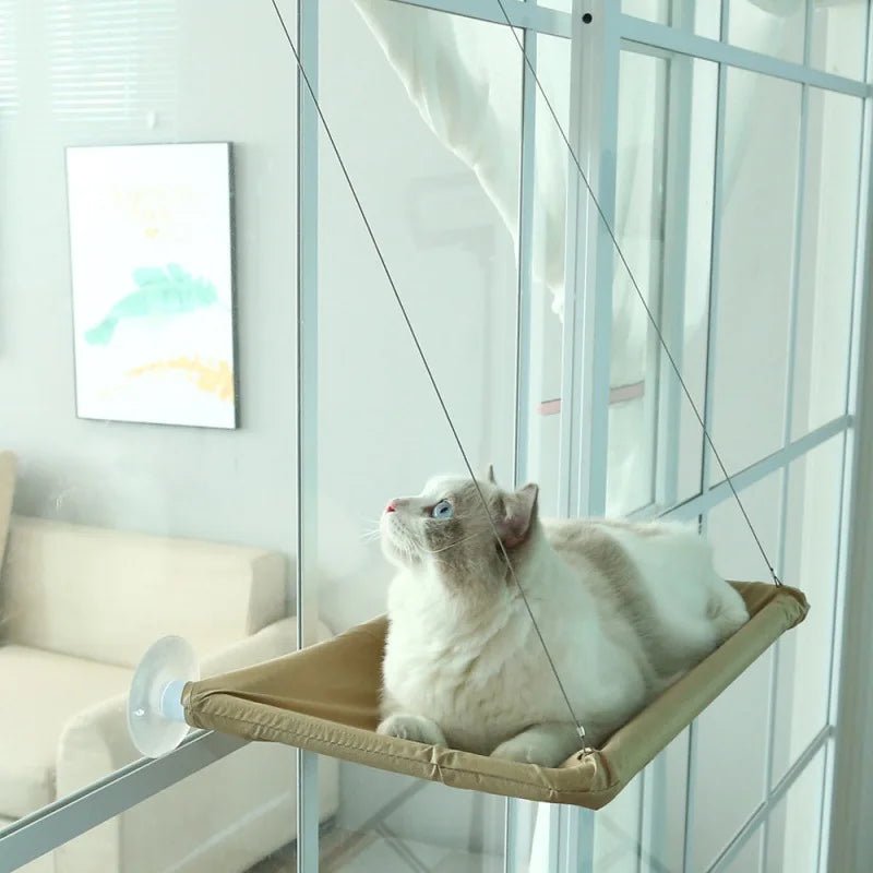 hamac chat fenêtre | Sécurisé 20kg - Le Bonheur du Chat