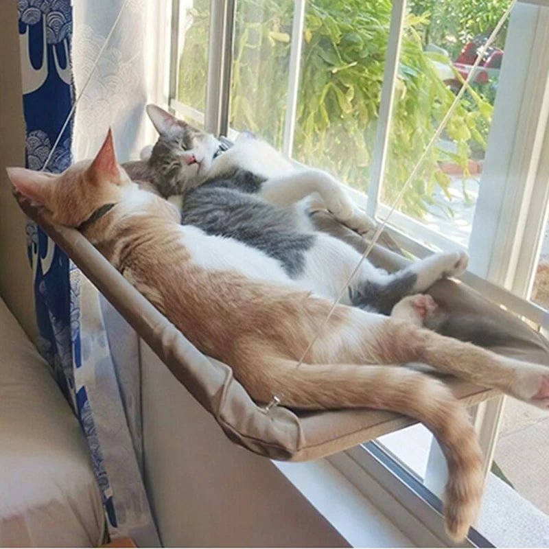 hamac chat fenêtre | Sécurisé 20kg - Le Bonheur du Chat