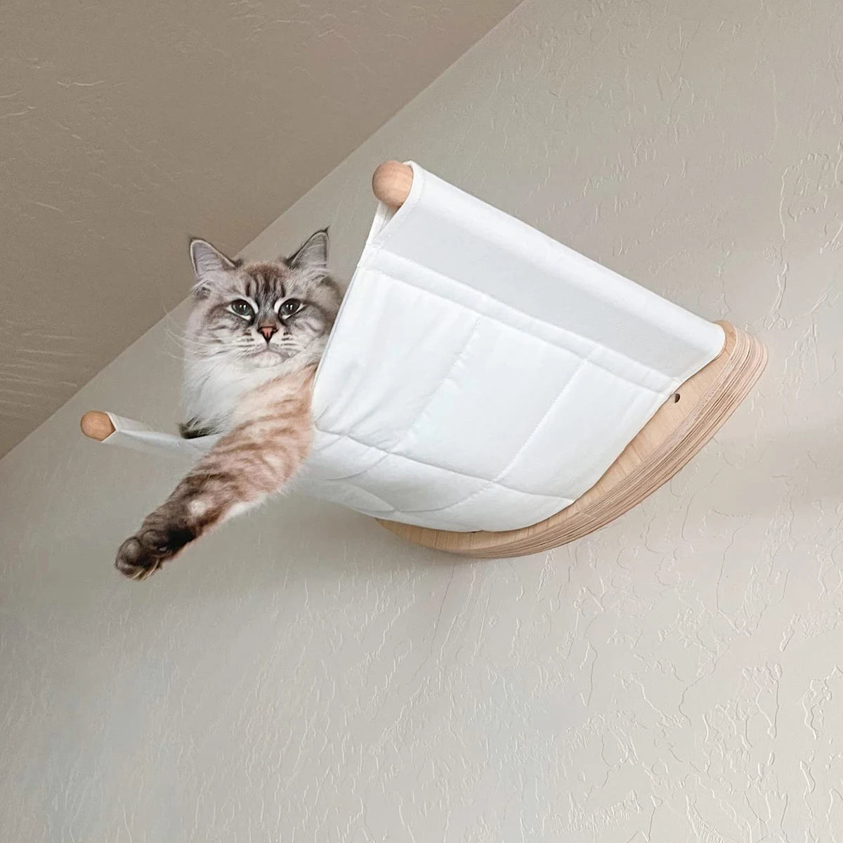 Hamac chat | Refuge Suspendu - Le Bonheur du Chat