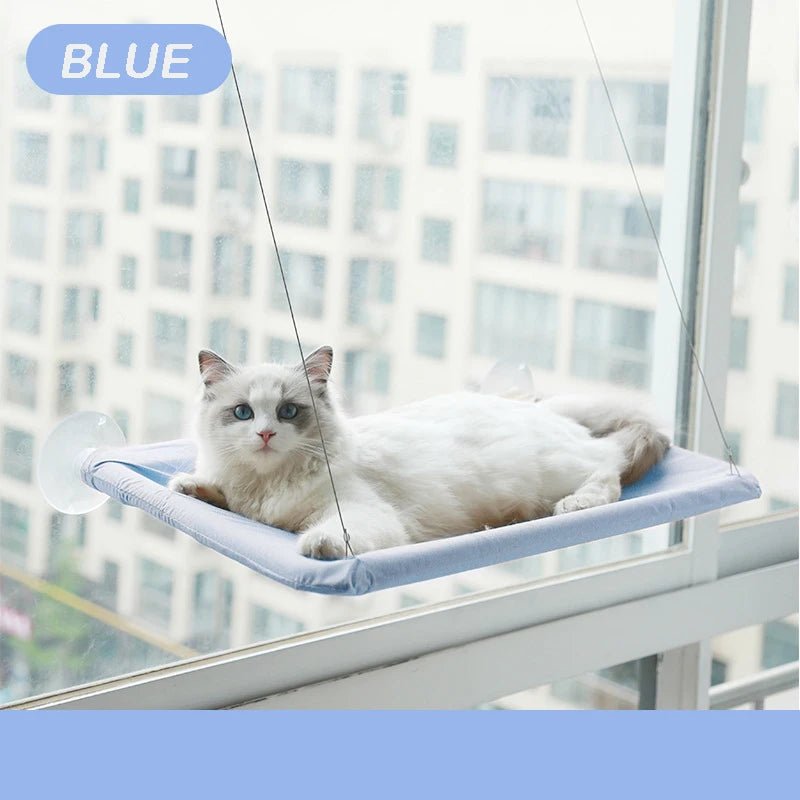 hamac fenetre chat bleu ventouse