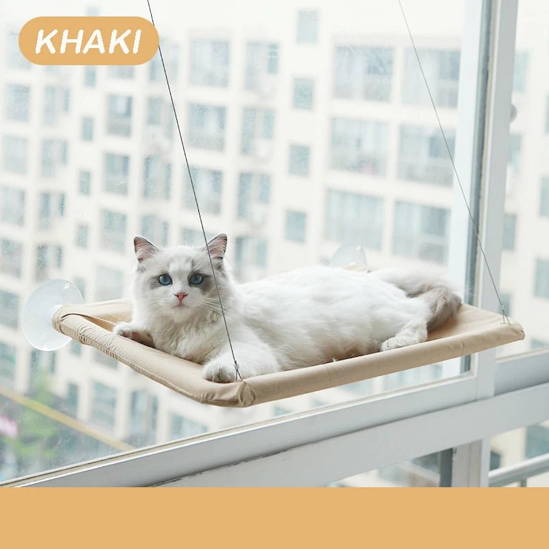 hamac fenetre chat kaki ventouse ville