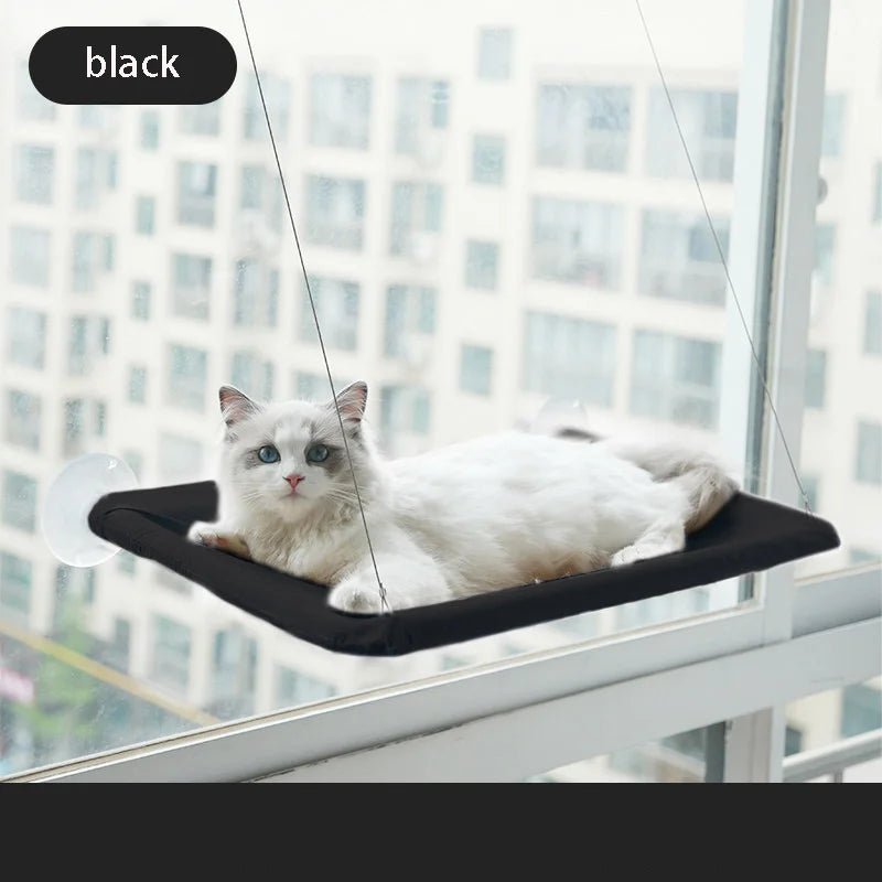 hamac fenetre chat noir ventouse
