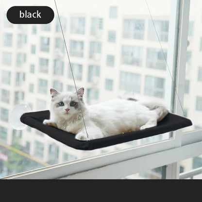 hamac fenetre chat noir ventouse