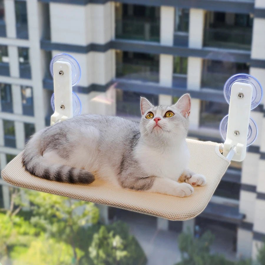 hamac fenetre pliable chat beige fixe vitre