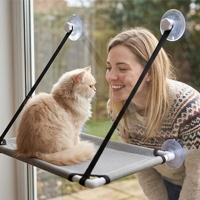 Hamac de fenêtre pour chat fixé par ventouses