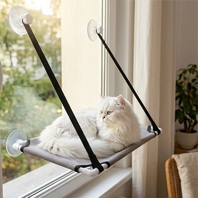Chat installé confortablement dans le hamac de fenêtre