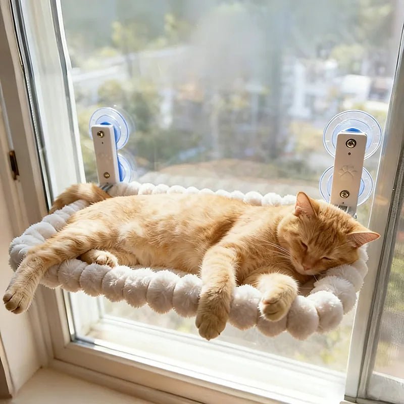 hamac pour chat fenetre | Sans Perçage - Le Bonheur du Chat