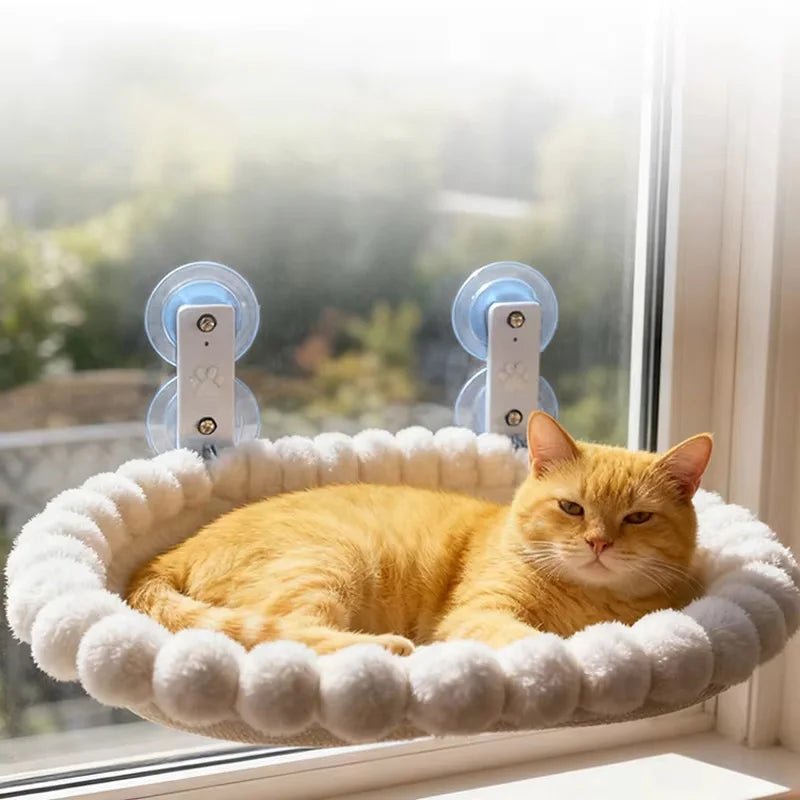 hamac pour chat fenetre | Sans Perçage - Le Bonheur du Chat