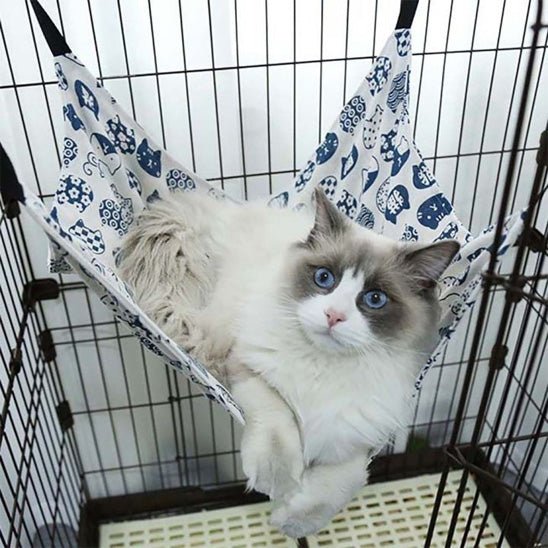 Hamac pour chat