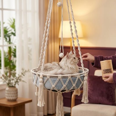 Chat installé confortablement dans le hamac suspendu
