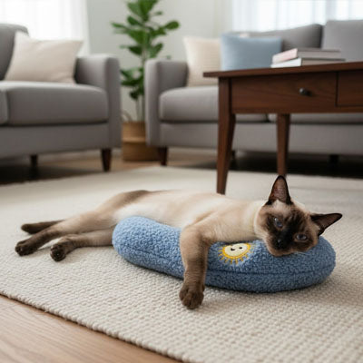 Coussin chat | Confort Douillet