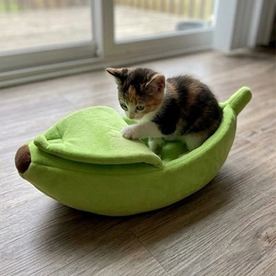 Chaton dormant confortablement dans le lit banane