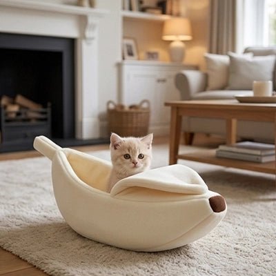 Chaton dormant confortablement dans le lit banane