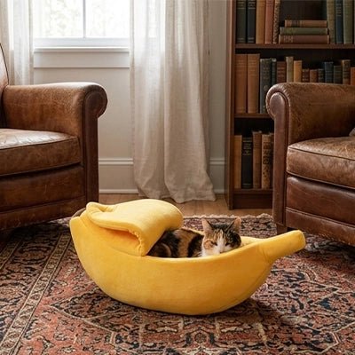 Chaton dormant confortablement dans le lit banane