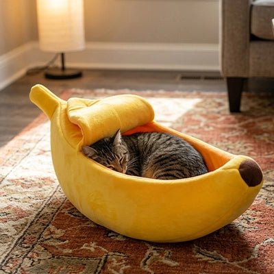 Chaton dormant confortablement dans le lit banane
