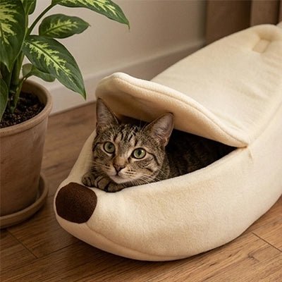 Chaton dormant confortablement dans le lit banane