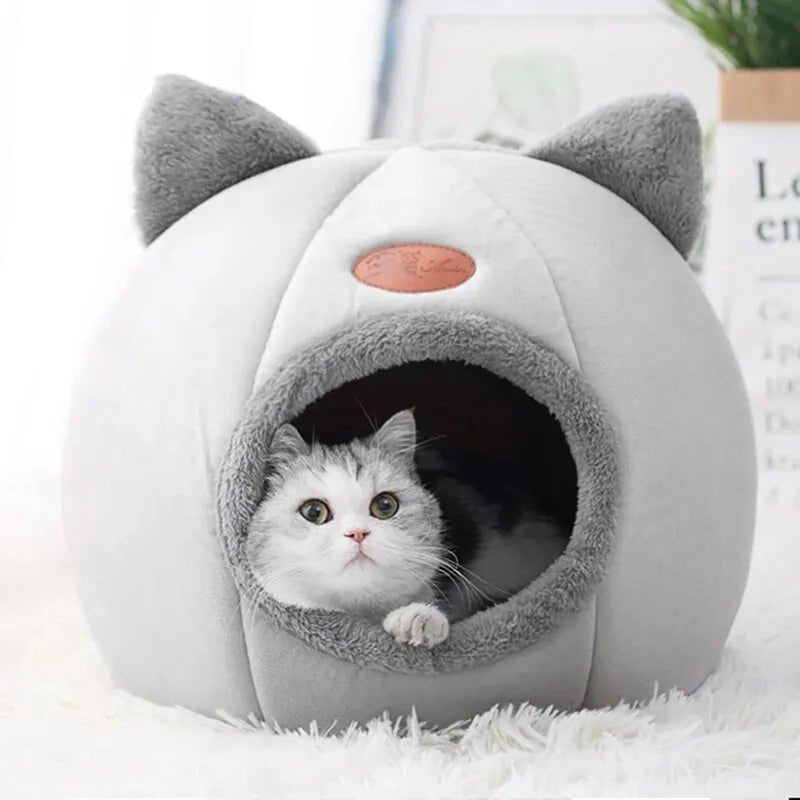 lit caverne chat gris oreilles salon