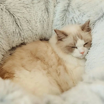 Lit pour Chat - CatLitTunnel™ - Gris - Le Bonheur du Chat
