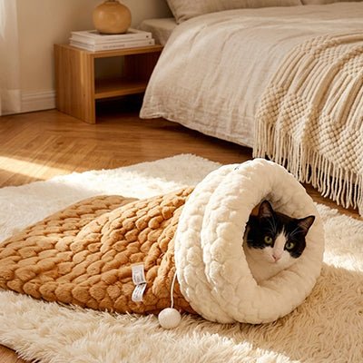 Chat blotti à l'intérieur du lit igloo fermé