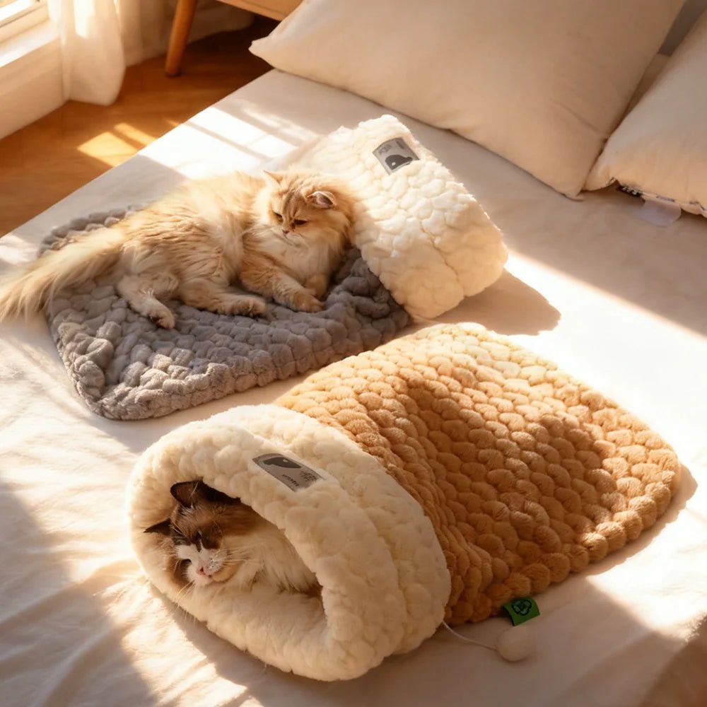 Chats blotti à l'intérieur du lit igloo fermé