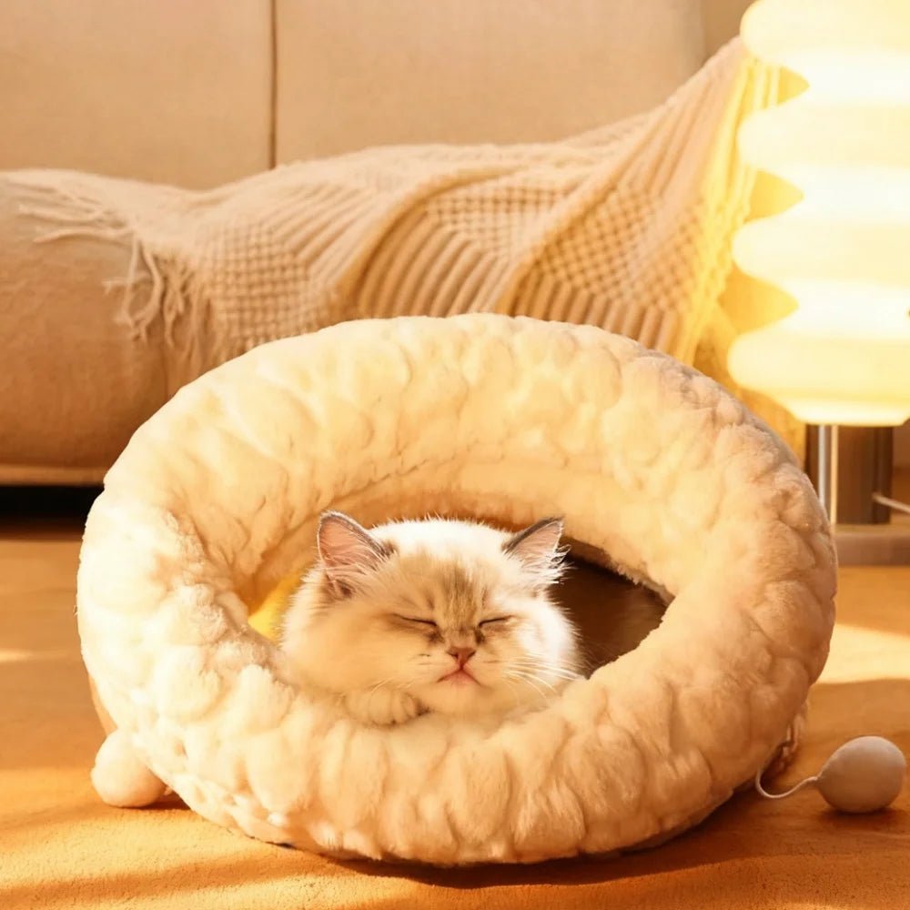 Chat blotti à l'intérieur du lit igloo fermé