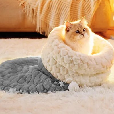 Chat blotti à l'intérieur du lit igloo fermé
