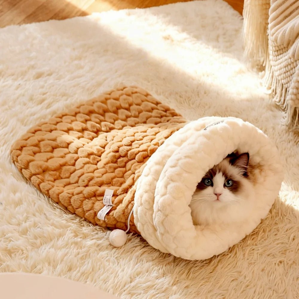 Chat blotti à l'intérieur du lit igloo fermé
