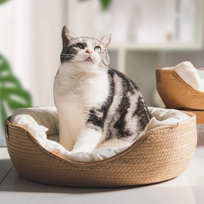 panier en osier pour chat | Tissé Main Naturel - Le Bonheur du Chat