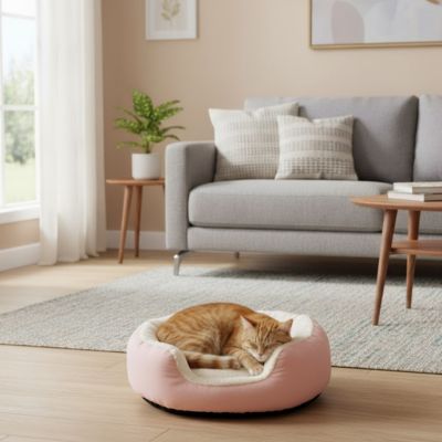 Panier pour chat vu de côté, structure rembourrée