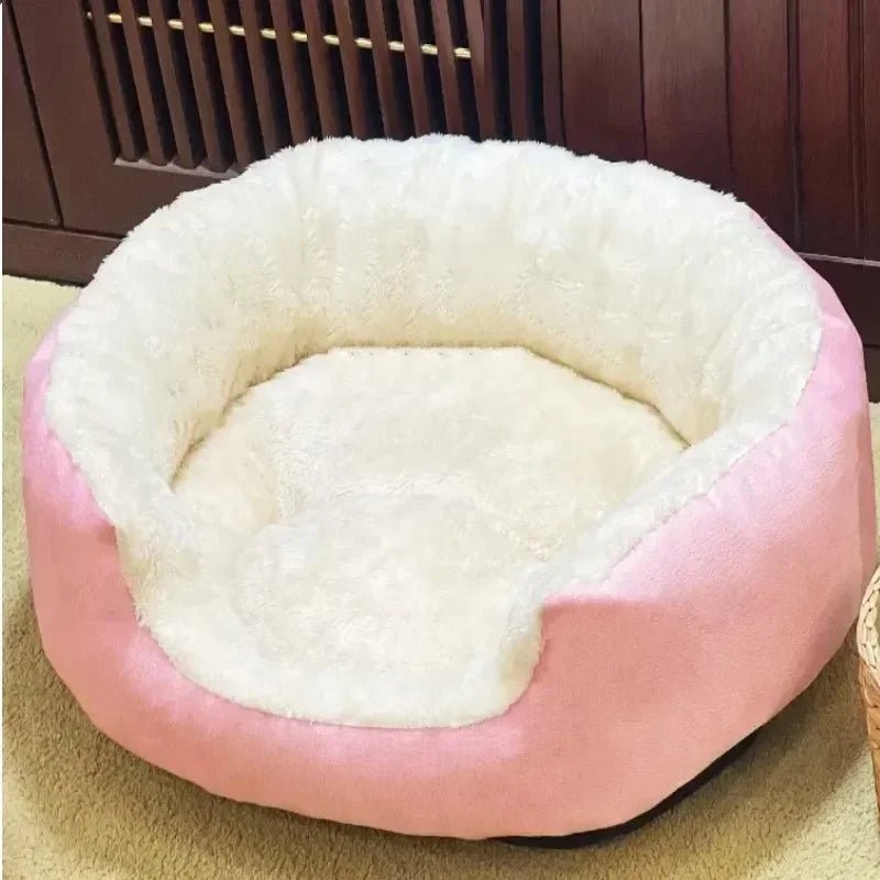 Chaton dans le panier douillet, taille adaptée