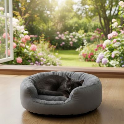 Chat confortablement installé dans le panier sofa