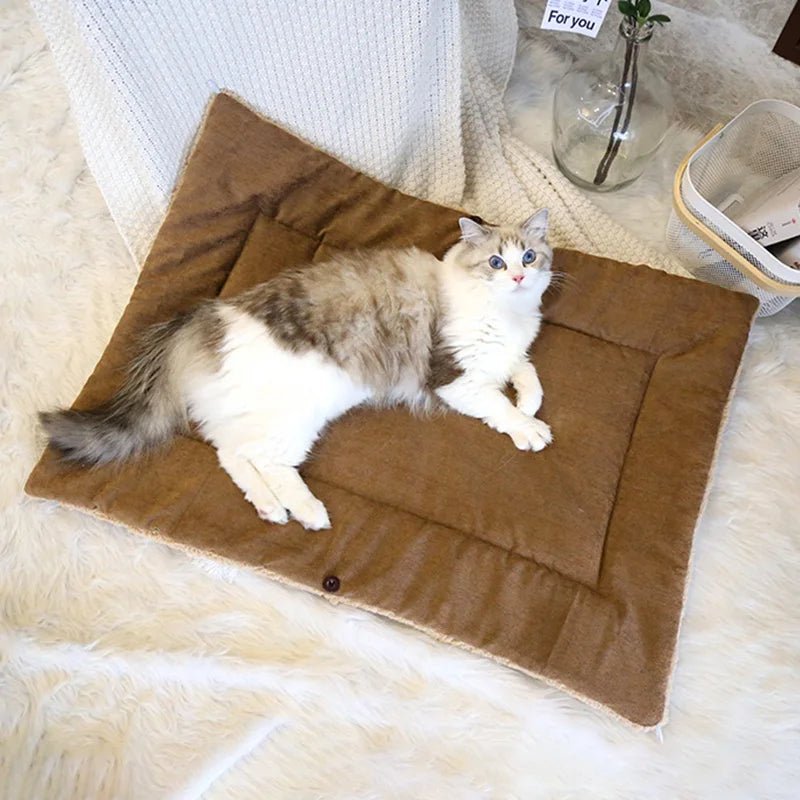 Chat confortablement installé dans le panier chaud