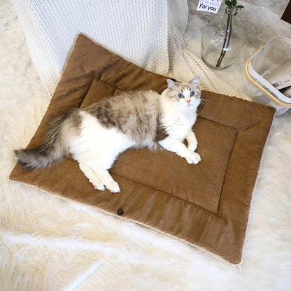 Chat confortablement installé dans le panier chaud
