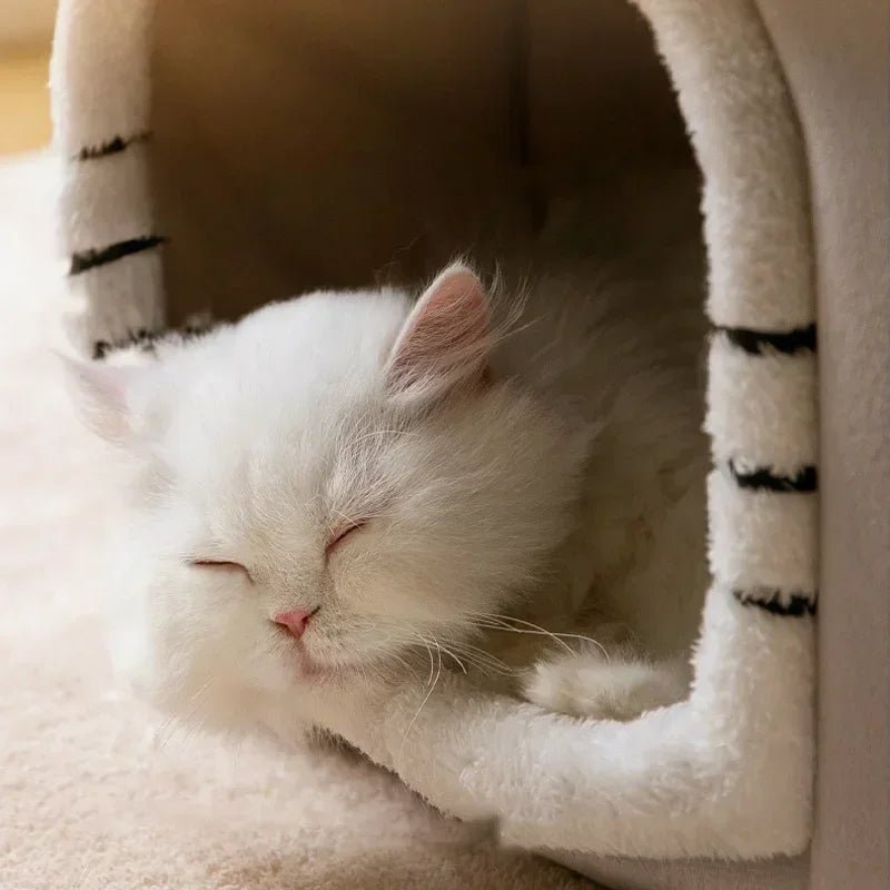 Intérieur moelleux du panier pour chat, chaud et douillet