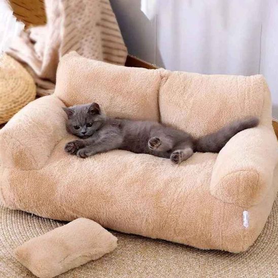 Chat confortablement installé dans le panier sofa