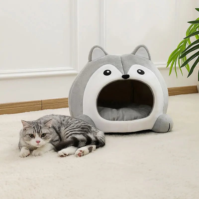 Chat installé confortablement dans la cabane sofa