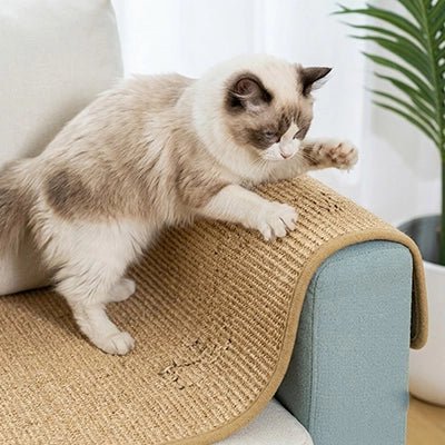 Protection canapé Chat | AntiGriffes - Le Bonheur du Chat