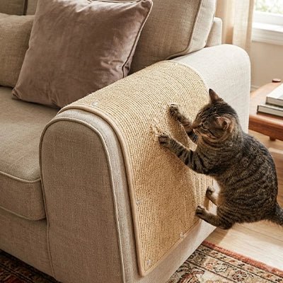 Protection canapé Chat | AntiGriffes - Le Bonheur du Chat