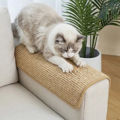 Protection canapé Chat | AntiGriffes - Le Bonheur du Chat