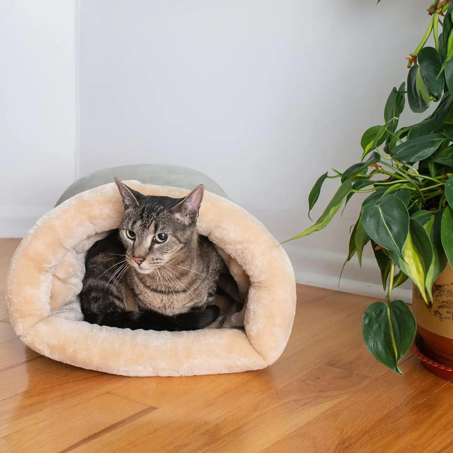 Sac de Couchage Chat | Chaud et Semi-Fermé - Le Bonheur du Chat