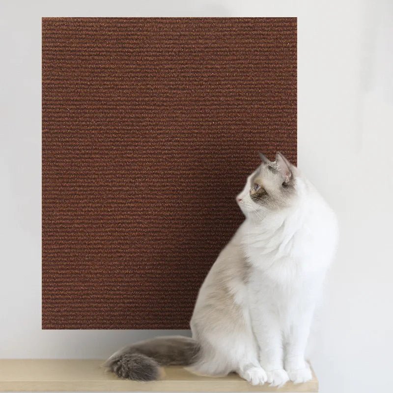 Tapis Anti-Griffes Chat | Adhésif et Découpable - Le Bonheur du Chat